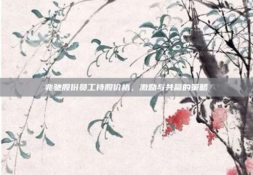 兆驰股份员工持股价格,激励与共赢的策略