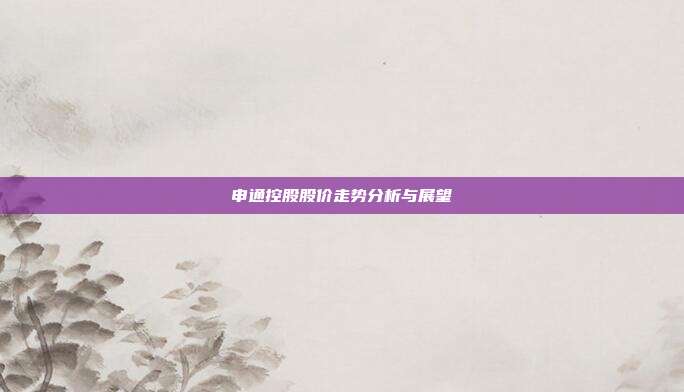 申通控股股价走势分析与展望