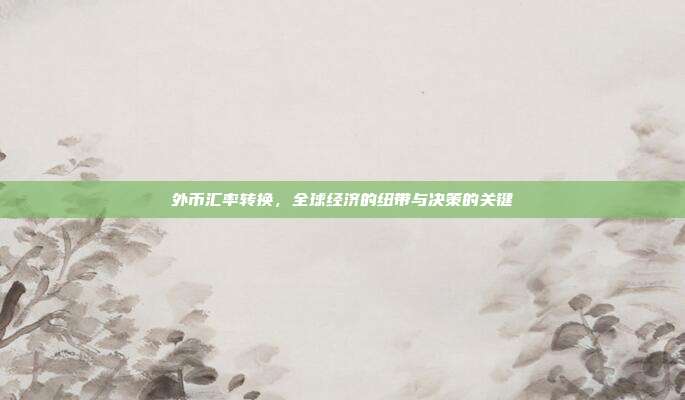 外币汇率转换,全球经济的纽带与决策的关键