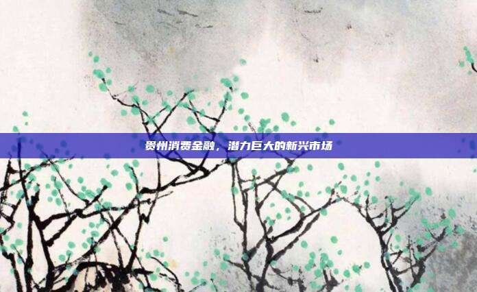 贵州消费金融,潜力巨大的新兴市场