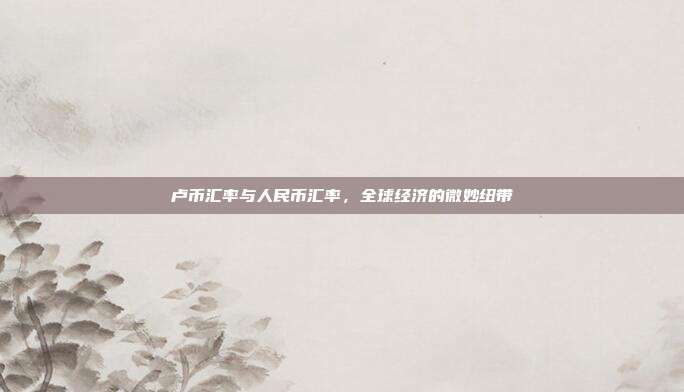 卢币汇率与人民币汇率,全球经济的微妙纽带