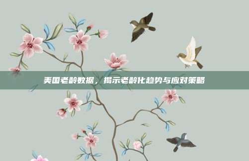 美国老龄数据,揭示老龄化趋势与应对策略