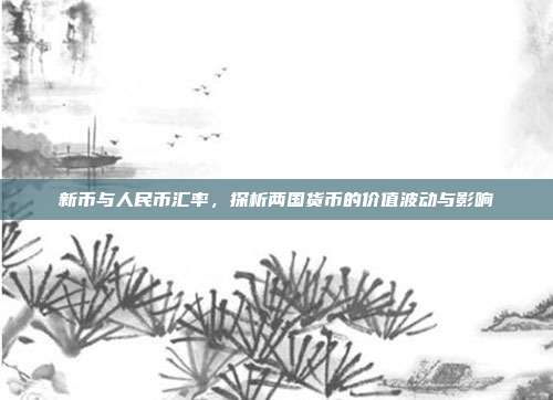 新币与人民币汇率,探析两国货币的价值波动与影响