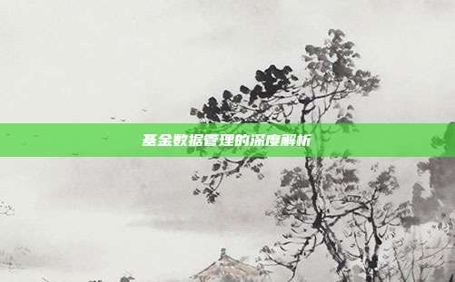 基金数据管理的深度解析