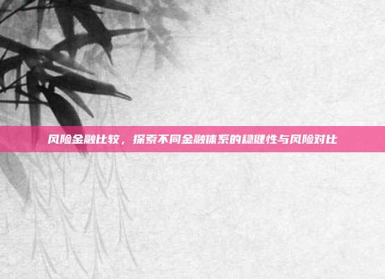 风险金融比较,探索不同金融体系的稳健性与风险对比