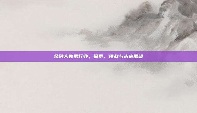 金融大数据行业,探索、挑战与未来展望
