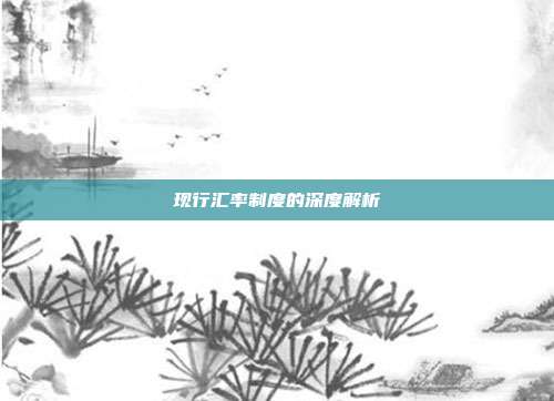现行汇率制度的深度解析