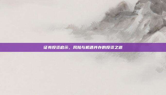 证券投资启示,风险与机遇并存的投资之道