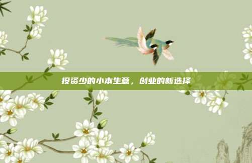 投资少的小本生意，创业的新选择