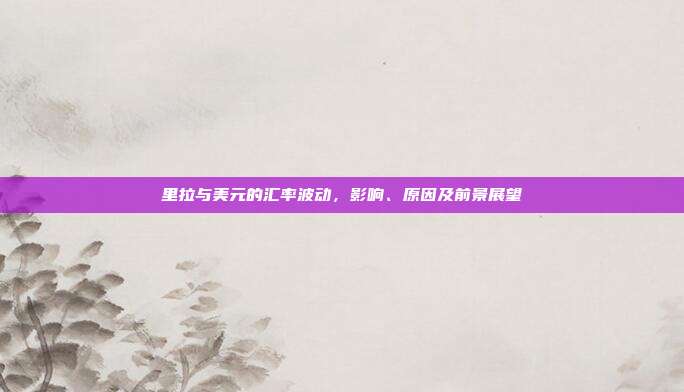 里拉与美元的汇率波动，影响、原因及前景展望