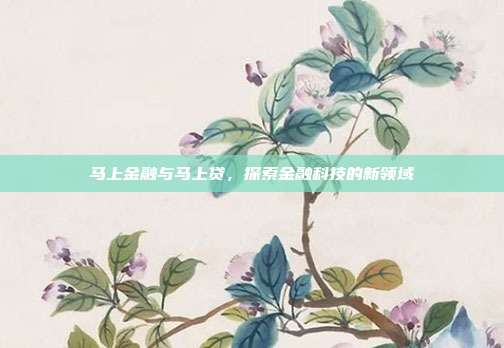 马上金融与马上贷,探索金融科技的新领域