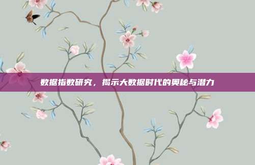 数据指数研究，揭示大数据时代的奥秘与潜力