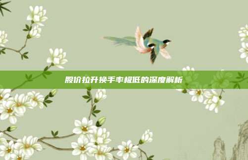 股价拉升换手率极低的深度解析