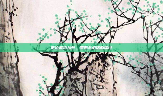 低位股价拉升，策略与机遇的探讨