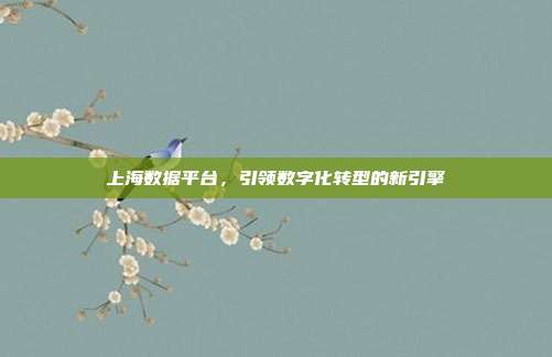 上海数据平台,引领数字化转型的新引擎