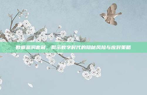 数据漏洞套利,揭示数字时代的隐秘风险与应对策略