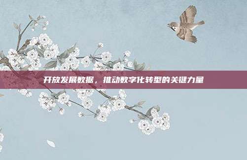 开放发展数据，推动数字化转型的关键力量