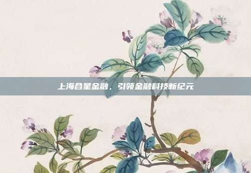 上海合星金融，引领金融科技新纪元