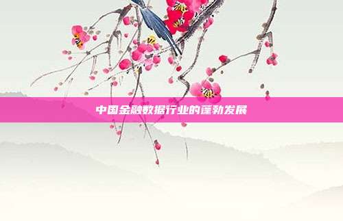 中国金融数据行业的蓬勃发展