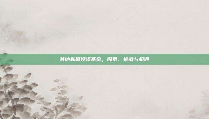 其他私募投资基金，探索、挑战与机遇