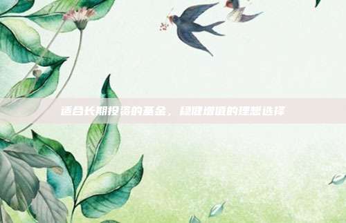 适合长期投资的基金,稳健增值的理想选择