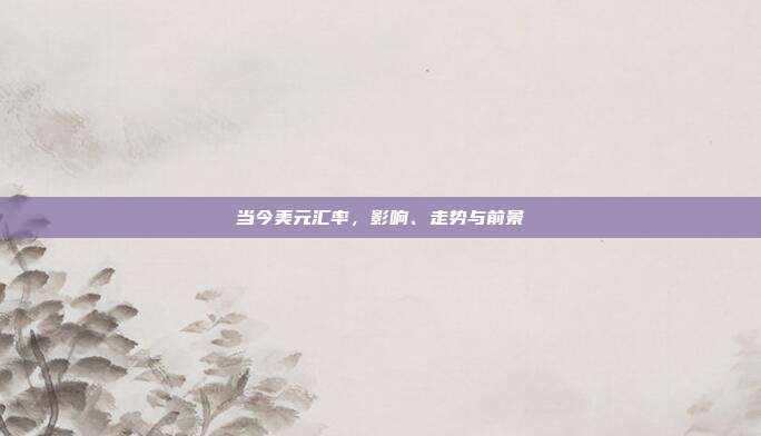当今美元汇率，影响、走势与前景