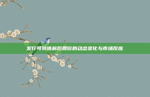 发行可转债前后股价的动态变化与市场反应