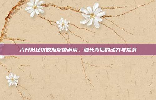 六月份经济数据深度解读，增长背后的动力与挑战