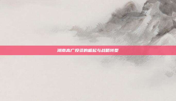 湖南高广投资的崛起与战略转型