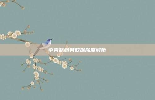 中青旅财务数据深度解析
