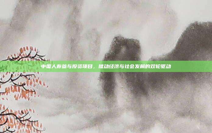 中国人寿参与投资项目，推动经济与社会发展的双轮驱动