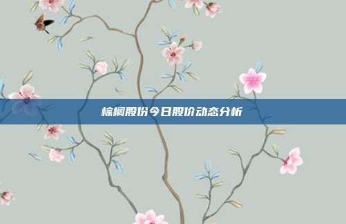 棕榈股份今日股价动态分析