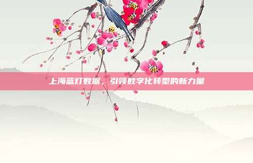 上海蓝灯数据，引领数字化转型的新力量