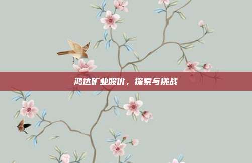 鸿达矿业股价，探索与挑战