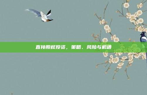 直接股权投资,策略、风险与机遇