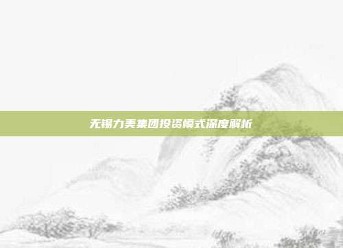 无锡力美集团投资模式深度解析