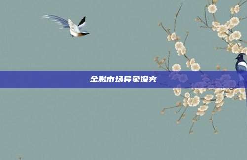 金融市场异象探究