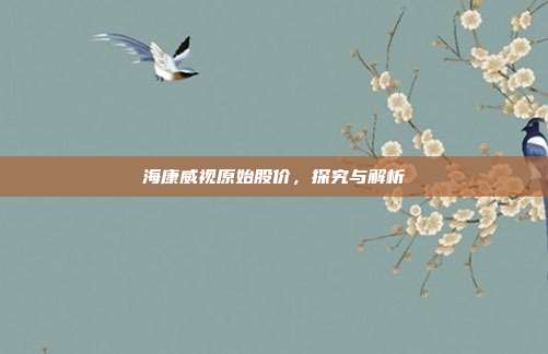 海康威视原始股价，探究与解析
