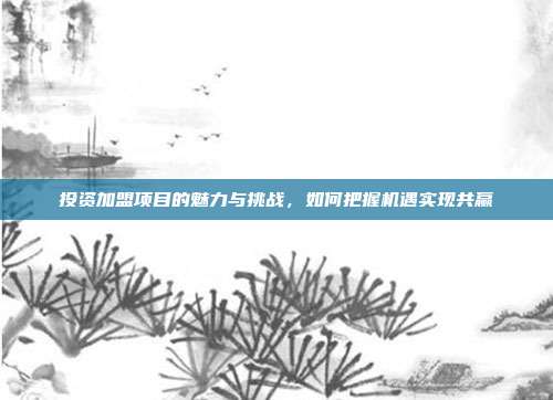 投资加盟项目的魅力与挑战，如何把握机遇实现共赢
