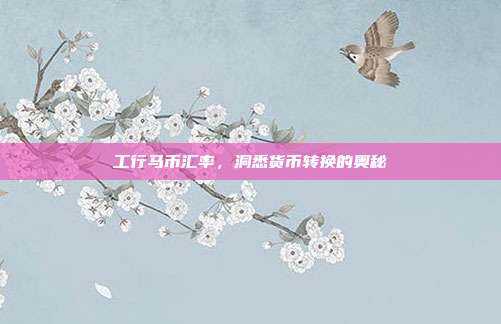 工行马币汇率，洞悉货币转换的奥秘