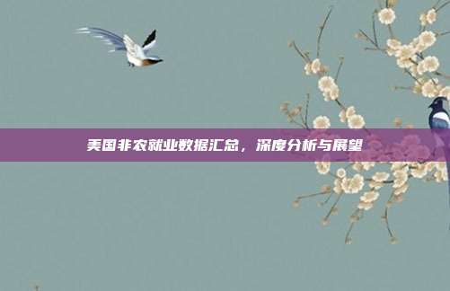 美国非农就业数据汇总，深度分析与展望